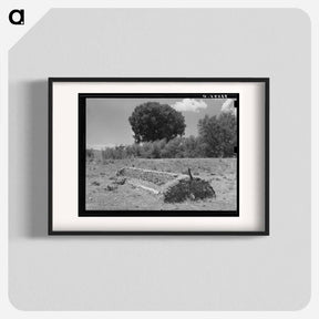 アートポスター-Feed Trough, Ranch Near Marfa, Texas
 - ラッセル リー Poster.