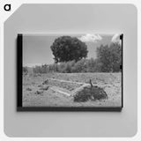 アートパネル-Feed Trough, Ranch Near Marfa, Texas
 - ラッセル リー Canvas.