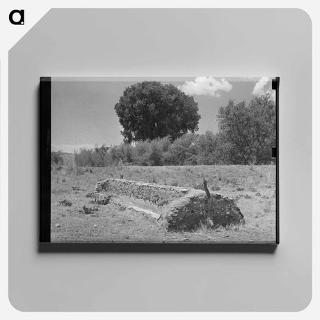 アートパネル-Feed Trough, Ranch Near Marfa, Texas
 - ラッセル リー Canvas.