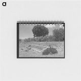 アートメモ帳-Feed Trough, Ranch Near Marfa, Texas
 - ラッセル リー Memo.