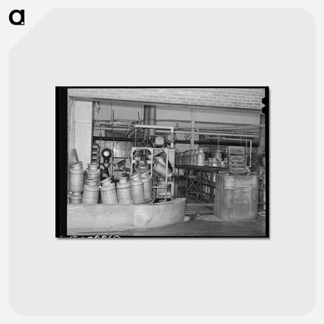 アートポストカード-Sterilizing Milk Cans at the Dairymen's Cooperative Creamery
 - ラッセル リー Postcard.