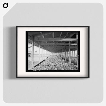 Sweet Potatoes in Storage Bin
 - ラッセル リー Poster.