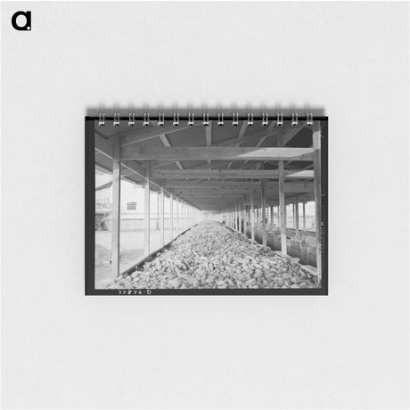 アートメモ帳-Sweet Potatoes in Storage Bin
 - ラッセル リー Memo.