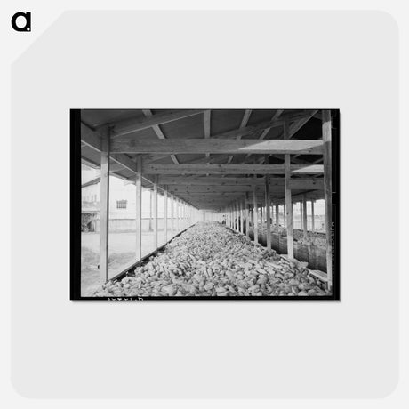 アートポストカード-Sweet Potatoes in Storage Bin
 - ラッセル リー Postcard.