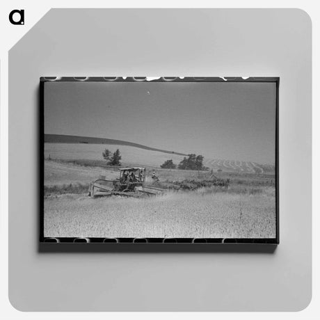 アートパネル-Combine Harvesting Wheat Field
 - ラッセル リー Canvas.