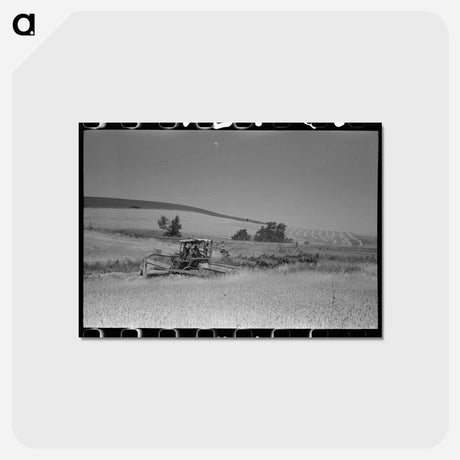 アートポストカード-Combine Harvesting Wheat Field
 - ラッセル リー Postcard.