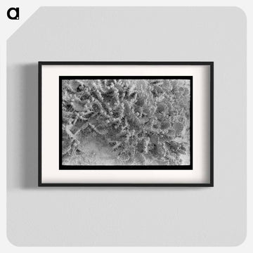 Prickly Pears in Sheridan County
 - ラッセル リー Poster.