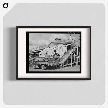 Taking Sacks of Hops into the Kiln, Yakima Chief Hop Ranch, Yakima County, Washington
 - ラッセル リー Poster.