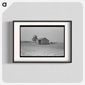 アートポスター-Sharecropper's Cabin and Hail-Ruined Cotton Field
 - ラッセル リー Poster.