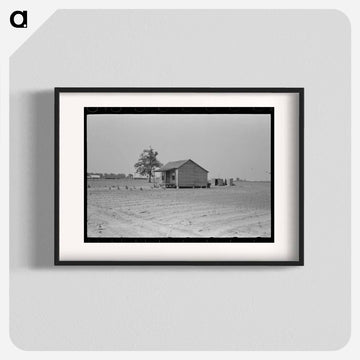 Sharecropper's Cabin and Hail-Ruined Cotton Field
 - ラッセル リー Poster.