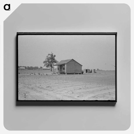 アートパネル-Sharecropper's Cabin and Hail-Ruined Cotton Field
 - ラッセル リー Canvas.