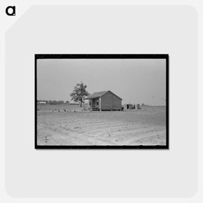 アートポストカード-Sharecropper's Cabin and Hail-Ruined Cotton Field
 - ラッセル リー Postcard.