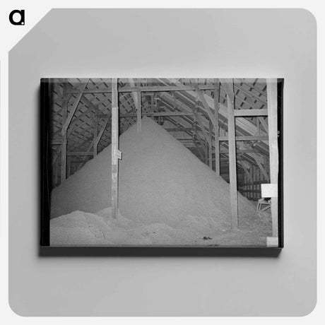 アートパネル-Cotton Seed Hulls in Warehouse, McLennan County, Texas
 - ラッセル リー Canvas.