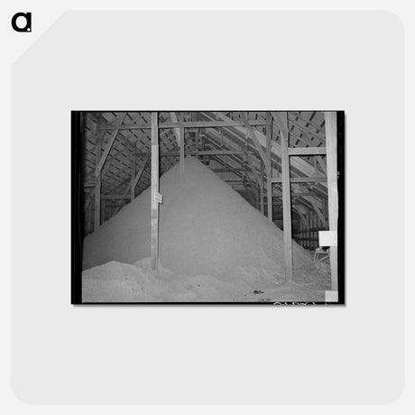 アートポストカード-Cotton Seed Hulls in Warehouse, McLennan County, Texas
 - ラッセル リー Postcard.