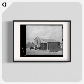 M. LaBlanc Feeding Hogs, Morganza, Louisiana
 - ラッセル リー Poster.