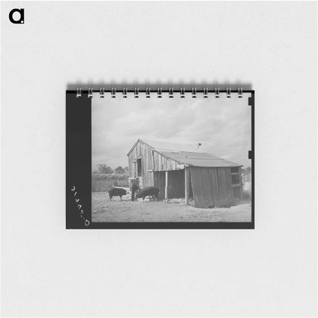 アートメモ帳-M. LaBlanc Feeding Hogs, Morganza, Louisiana
 - ラッセル リー Memo.