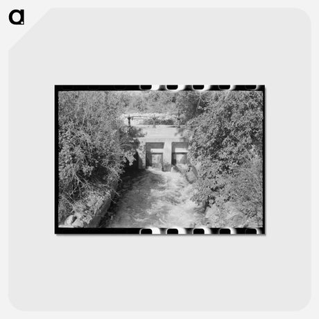 アートポストカード-Irrigation Ditch on the Logan River, Cache County, Utah
 - ラッセル リー Postcard.