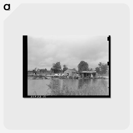 アートポストカード-Fisherman's House near Lake Maurepas
 - ラッセル リー Postcard.