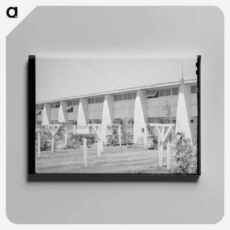 アートパネル-Backyards of Apartment Building at the Arizona Part-Time Farms
 - ラッセル リー Canvas.