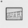 アートメモ帳-Backyards of Apartment Building at the Arizona Part-Time Farms
 - ラッセル リー Memo.