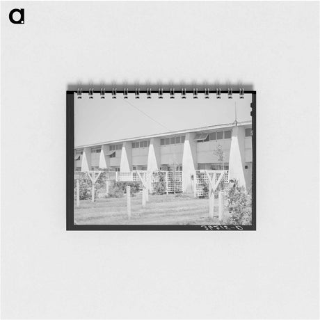 アートメモ帳-Backyards of Apartment Building at the Arizona Part-Time Farms
 - ラッセル リー Memo.