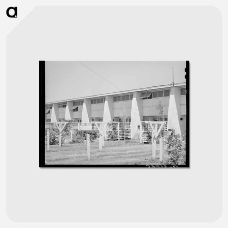 アートポストカード-Backyards of Apartment Building at the Arizona Part-Time Farms
 - ラッセル リー Postcard.