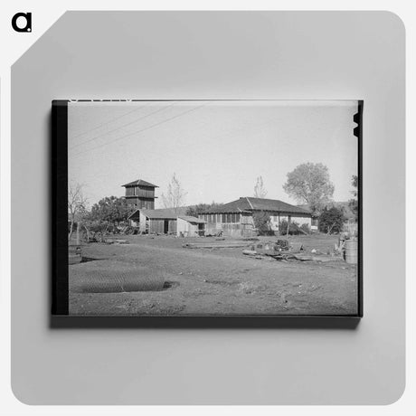 アートパネル-Farmstead of John Frost, Tehama County
 - ラッセル リー Canvas.