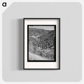 アートポスター-Gorge of Carrizo Creek, Navajo County, Arizona
 - ラッセル リー Poster.