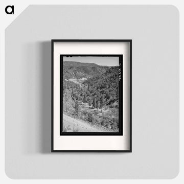 Gorge of Carrizo Creek, Navajo County, Arizona
 - ラッセル リー Poster.