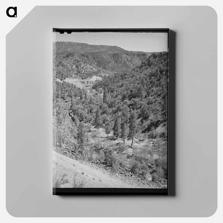アートパネル-Gorge of Carrizo Creek, Navajo County, Arizona
 - ラッセル リー Canvas.