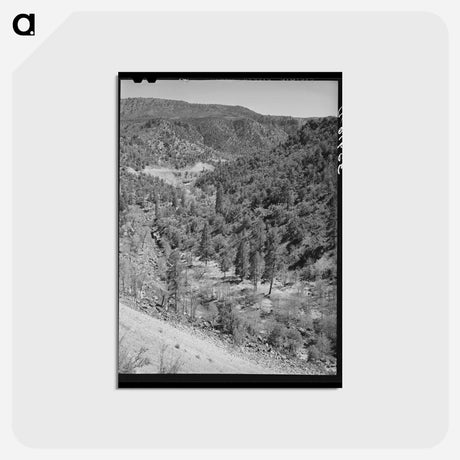 アートポストカード-Gorge of Carrizo Creek, Navajo County, Arizona
 - ラッセル リー Postcard.