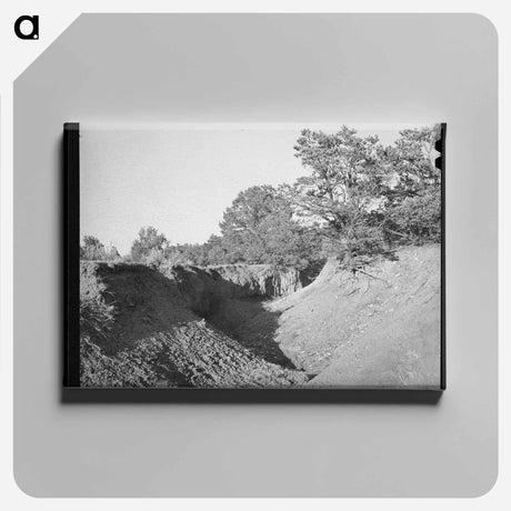 アートパネル-Gully in Overgrazed Mountain Land
 - ラッセル リー Canvas.