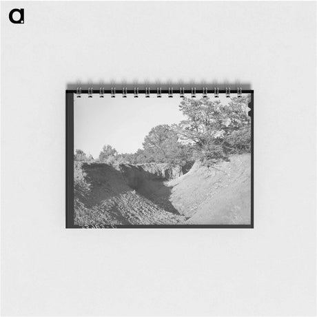 アートメモ帳-Gully in Overgrazed Mountain Land
 - ラッセル リー Memo.