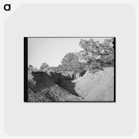 アートポストカード-Gully in Overgrazed Mountain Land
 - ラッセル リー Postcard.