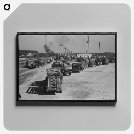 アートパネル-Lineup of Trucks Waiting to Be Unloaded at Stockyard, San Angelo, Texas
 - ラッセル リー Canvas.