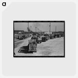 アートポストカード-Lineup of Trucks Waiting to Be Unloaded at Stockyard, San Angelo, Texas
 - ラッセル リー Postcard.