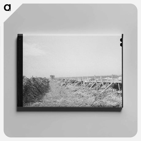 アートパネル-Feeding Cows at Large Dairy, Tom Green County, Texas
 - ラッセル リー Canvas.