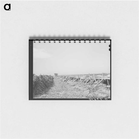 アートメモ帳-Feeding Cows at Large Dairy, Tom Green County, Texas
 - ラッセル リー Memo.