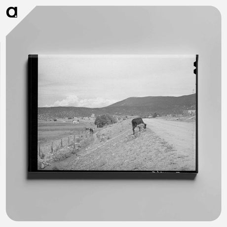 アートパネル-Cows and Irrigation Ditch, Penasco, New Mexico
 - ラッセル リー Canvas.