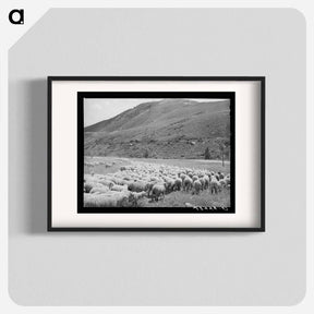 アートポスター-Driving Fat Lambs to Cimarron, Colorado
 - ラッセル リー Poster.