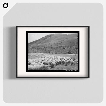 Driving Fat Lambs to Cimarron, Colorado
 - ラッセル リー Poster.