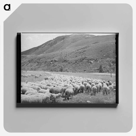 アートパネル-Driving Fat Lambs to Cimarron, Colorado
 - ラッセル リー Canvas.