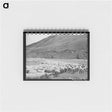 アートメモ帳-Driving Fat Lambs to Cimarron, Colorado
 - ラッセル リー Memo.