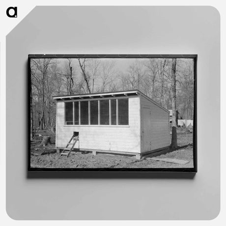 アートパネル-Chicken Coop, Chicot Farms, Arkansas
 - ラッセル リー Canvas.