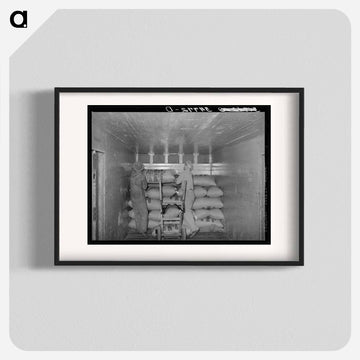 Loading Carload of Peanuts at Peanut-Shelling Plant, Comanche, Texas
 - ラッセル リー Poster.