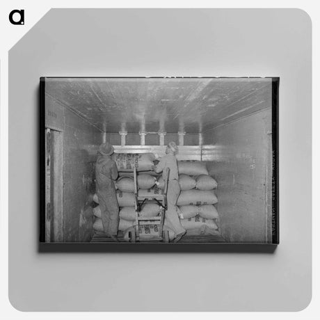 アートパネル-Loading Carload of Peanuts at Peanut-Shelling Plant, Comanche, Texas
 - ラッセル リー Canvas.
