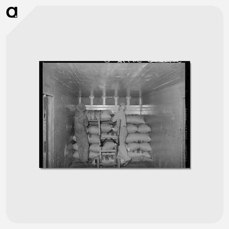 アートポストカード-Loading Carload of Peanuts at Peanut-Shelling Plant, Comanche, Texas
 - ラッセル リー Postcard.
