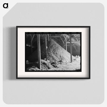 Cotton Seed Hulls, Waco, Texas
 - ラッセル リー Poster.