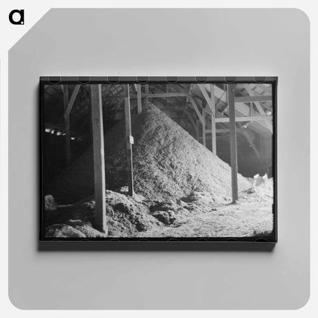 アートパネル-Cotton Seed Hulls, Waco, Texas
 - ラッセル リー Canvas.