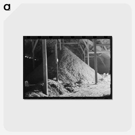 アートポストカード-Cotton Seed Hulls, Waco, Texas
 - ラッセル リー Postcard.